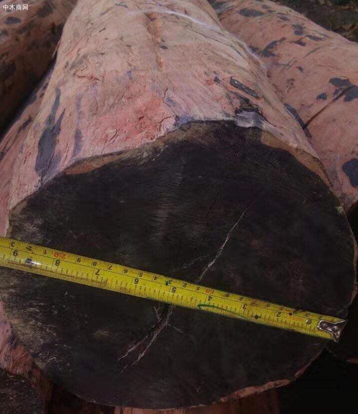 缅甸乌木是国际紫檀红木品种吗及刀状黑黄檀与阔叶黄檀区别有哪些厂家
