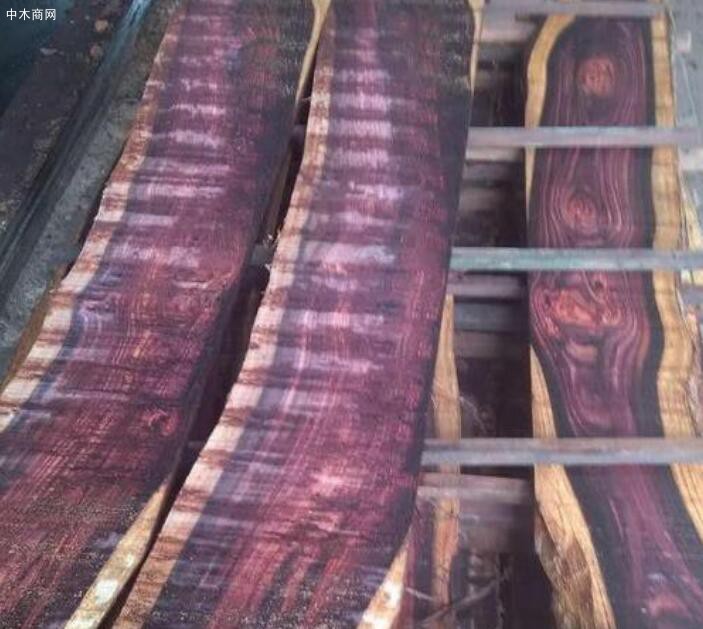 缅甸乌木是国际紫檀红木品种吗及刀状黑黄檀与阔叶黄檀区别有哪些批发