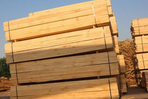 大工地木方建筑辐射松木方的价格?
