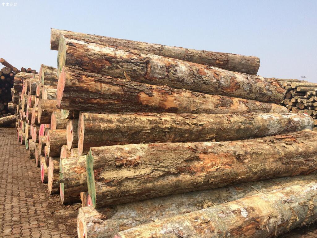 欧洲1-2月采伐量下降导致3月份林场原木供应量减少