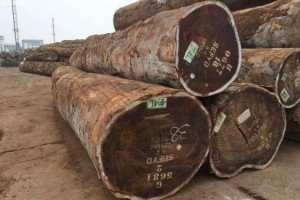 刚果(布)木材产业缩减