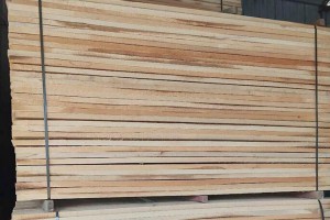 杨木板的优缺点及杨木板价格多少钱一方?