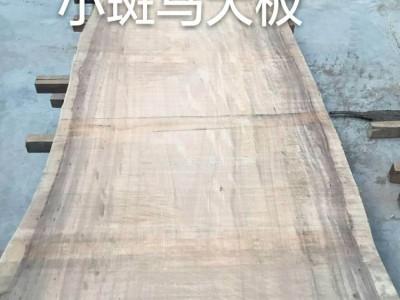 小斑马大板毛料图5