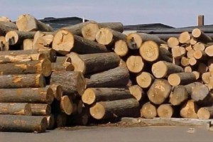 预计越南2021年林产品出口增至145亿美元