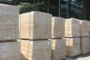 欧洲木业总部经济平台落户常州天宁