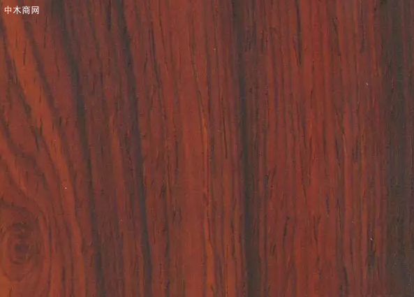 微凹黄檀木材的构造特征价格