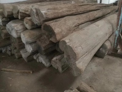 缅甸柚木原木厂家批发价格图3