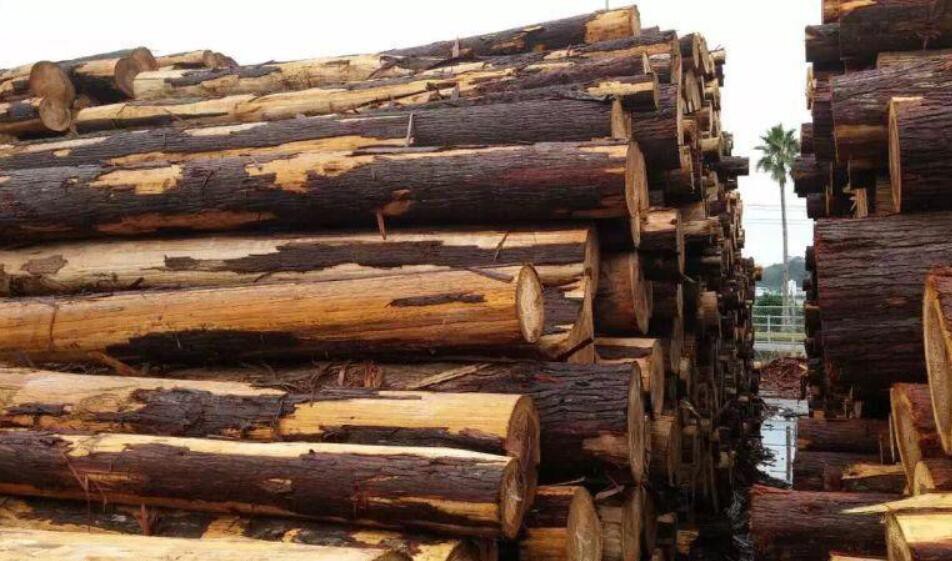 甘肃玉门市对木材经营加工场所进行安全生产检查