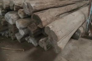 目前缅甸柚木原木板材的最低价是多少每立方