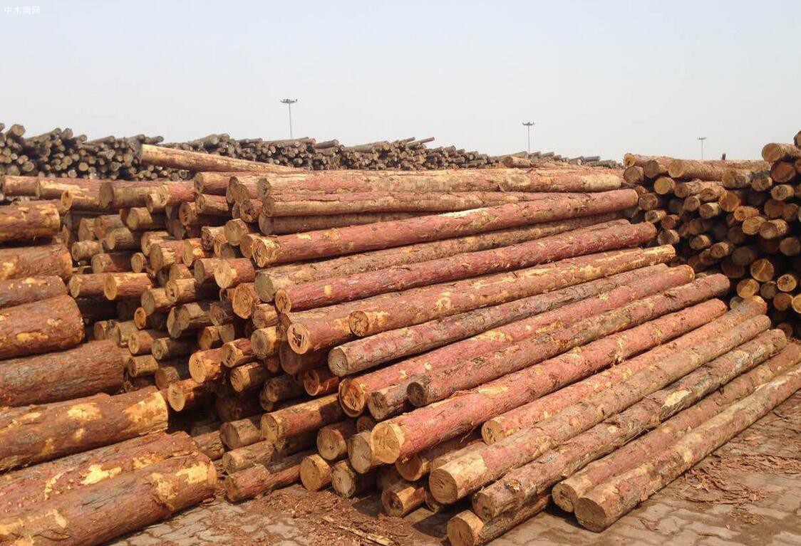 加拿大在软木木材关税问题上向华盛顿施压
