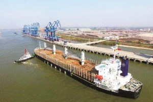 镇江新民洲：打造中国木业第 一港