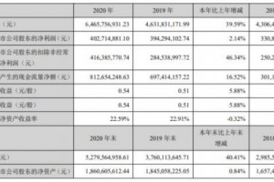 兔宝宝2020年净利4.03亿增长2.14%