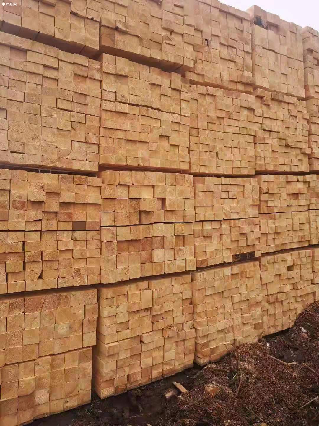 俄罗斯樟子松防腐木供应商质量材质上乘