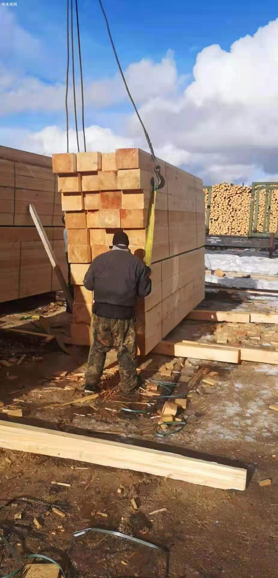 樟子松做防腐木材料的优势价格