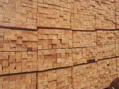 俄罗斯樟子松防腐木供应商质量材质上乘图2