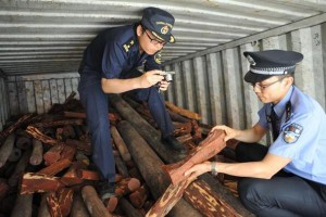 天津新港海关查获黄檀木制品走私