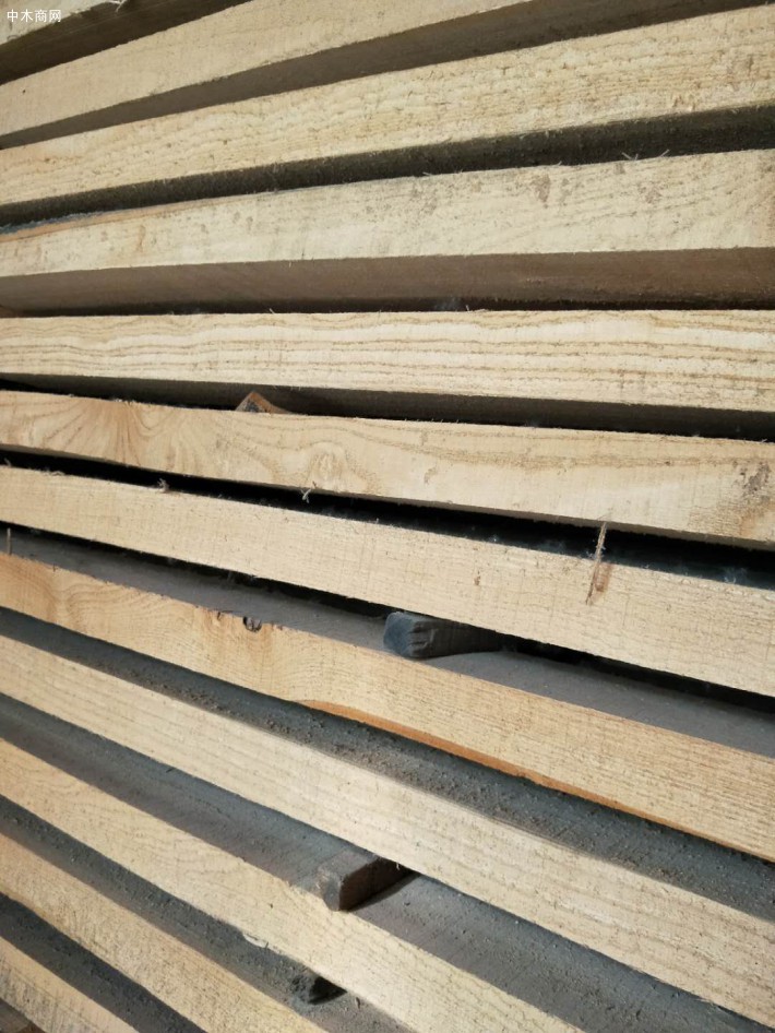 山东泰安两家木材加工厂粉尘污染责令整改