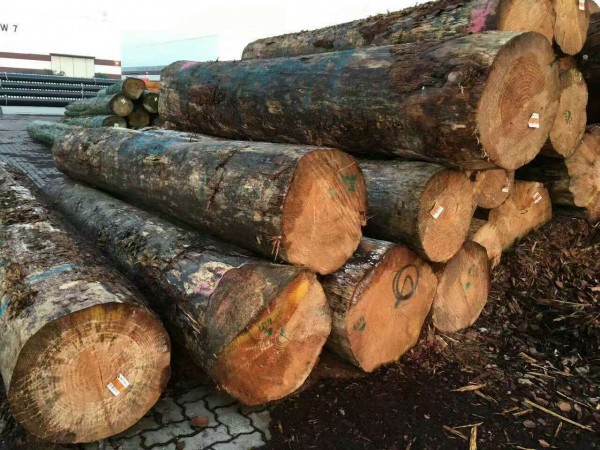 来自欧洲的原木数量保持在每月100万方左右