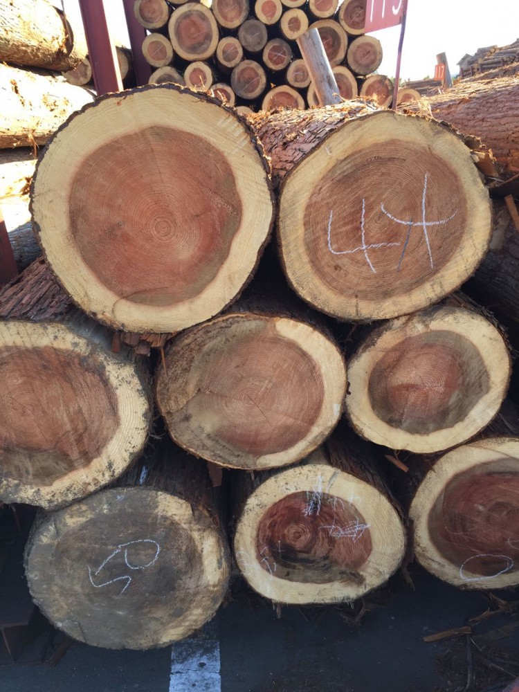 日媒：全球木材短缺致价格飙升