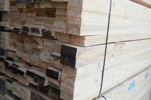 广西来宾将培育育规模木材加工业企业30家以上