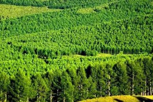 瑞昌市8家企业获评省级林业龙头企业