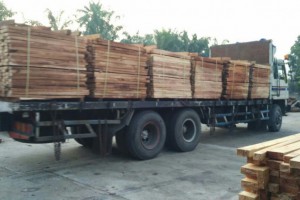 大部分橡胶木材经营商家还是处于重仓状态