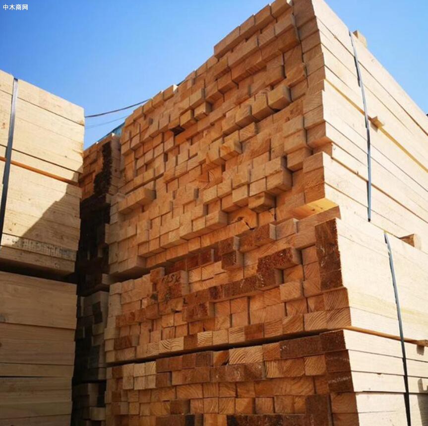新冠疫情下木材进口企业如何前行