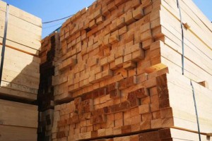 赣州南康区获批国家松木板材利用试点