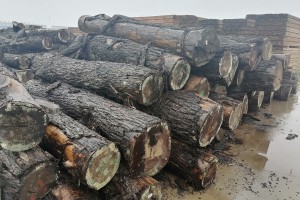 一季度美国阔叶木出口总额3.234亿美元