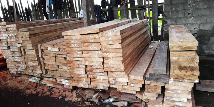 喀麦隆销售的木制品中只有12%－18%合法