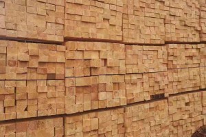 俄罗斯精品木材直达中国长三角市场
