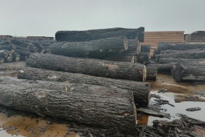 海运费可能支撑国内木材价格