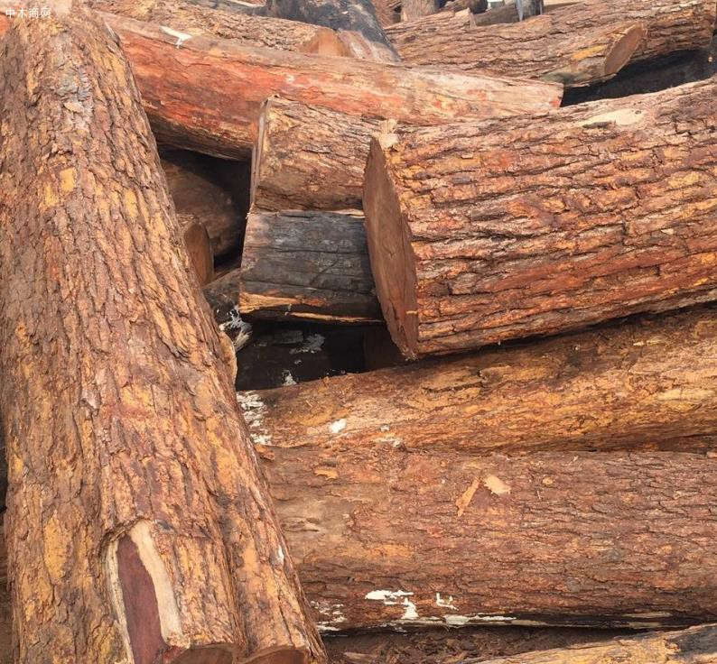 莫桑比克纳卡拉港截获欲走私中国的非法木材