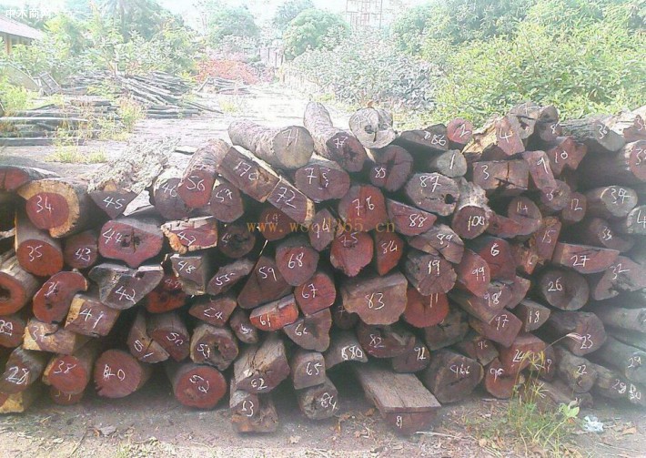 印度原木价格行情