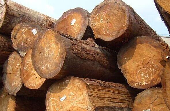 国内木材价格行情