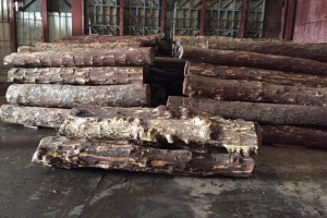 非洲市场占加纳国际木制品市场的近11%