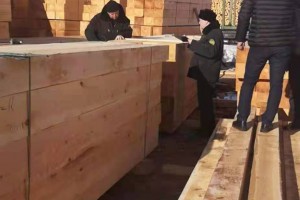 俄罗斯本月起对粗加工木材征收10%出口关税