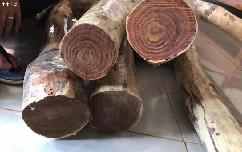 越南木材行业攻坚克难，增长可观