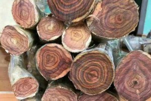 越南出口欧盟市场木材和木制品大幅增长