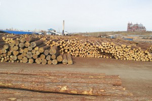 2020年俄罗斯原木、胶合板等林产品出口情况