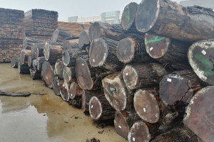 国家财政激励助力木业经济发展