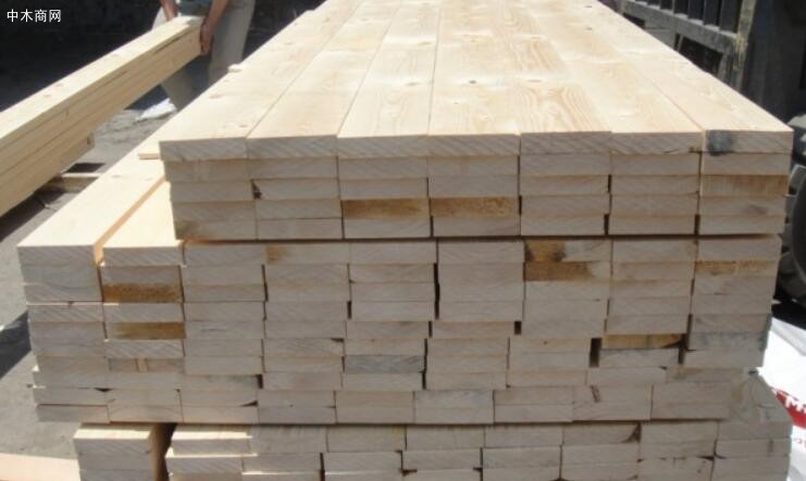 加拿大铁杉是BC省林产业重要的经济材之一