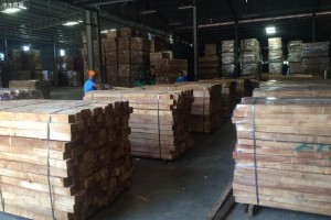 橡胶木市场或迎来震荡期