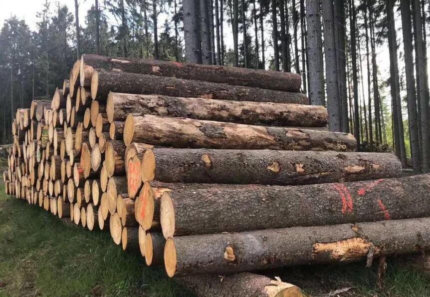 目前国内整体云杉原木库存不足90万方