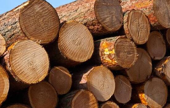 中国市场俄罗斯原木进口量下滑明显
