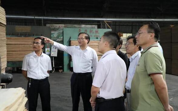 兰山区委书记调研义堂镇木业产业发展情况