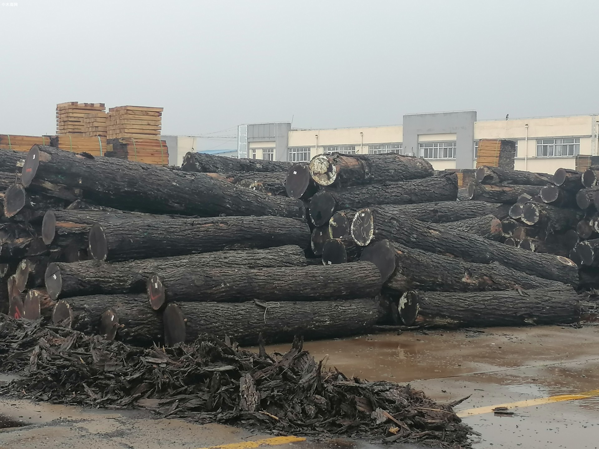 沭阳桑墟“四个一批” 促木材产业转型升级