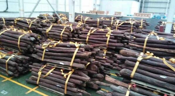 八月份仙游市场紫檀原料到货50吨左右
