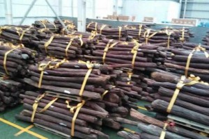 八月份仙游市场紫檀原料到货50吨左右