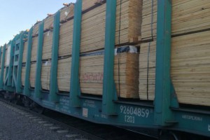 远东政府放弃成立远东统一国有木材出口集团